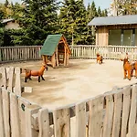 ホテル Tannenhaus