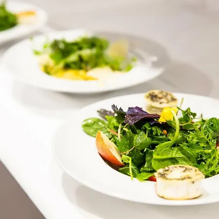 Tannenhaus Schöneck