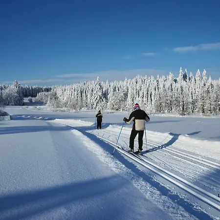 Hotel Tannenhaus Schöneck